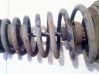 Front coil spring 