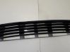 Unteres Gitter dreiteilig vorne 8D0807683