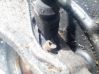 Sensor freno ABS de aceleración de rueda 