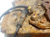 ABS rear brake sensor 