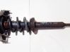 Front coil spring 