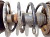 Front coil spring 