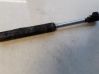 Tailgate/trunk strut/damper D06156940A