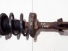 Front shock absorber/damper 