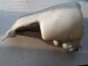 Depósito/tanque del líquido limpiaparabrisas 893955453B