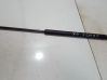 Tailgate/trunk strut/damper 817801G000
