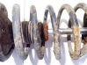 Front coil spring 