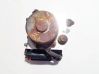 Bomba de ABS A409800101