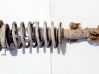 Front shock absorber/damper P9140020