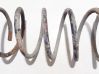 Front coil spring 