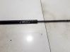 Tailgate/trunk strut/damper 905215170512