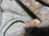 ABS Sensor 81110