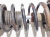 Front coil spring 
