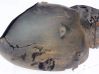 Revestimientos de la aleta antisalpicaduras delanteros A2116901330