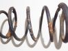 Rear coil spring 