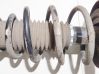 Front coil spring 
