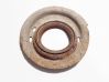 Coil spring mount 