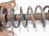 Rear coil spring 