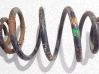 Muelle espiral trasero 