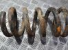 Front coil spring 