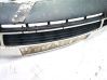 Front bumper lower grill 