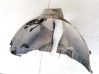 Rear arch fender liner splash guards 8D0810171