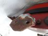 Front door upper hinge 