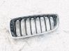 Atrapa chłodnicy / Grill 7294817