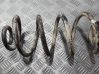 Rear coil spring 