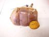 Coolant expansion tank/reservoir 90499809