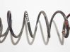 Rear coil spring 