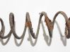 Rear coil spring 