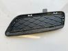 Front bumper lower grill 51117210470