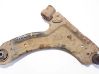 Front lower control arm/wishbone 