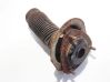 Coil spring mount 