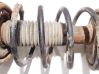 Front coil spring 