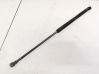 Tailgate/trunk strut/damper 