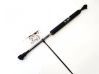 Tailgate/trunk strut/damper 30799158