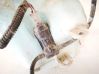 Windscreen/windshield washer pump C1841