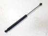 Tailgate/trunk strut/damper 77008422568