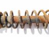 Rear coil spring 