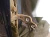 Rear door lower hinge 