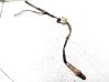Lambda probe sensor 6029084AA