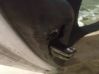 Tailgate/trunk/boot lock/catch/latch 