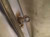 Rear door check strap stopper 