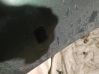 Windshield washer spray nozzle 