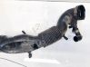 Intercooler hose/pipe 9485294