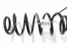Rear coil spring RH6626
