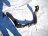 Intercooler hose/pipe 
