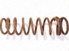 Muelle espiral trasero 